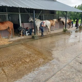 photo des boxes pour chevaux